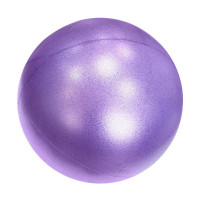 Мяч для пилатеса d20 см Sportex PLB20-6 фиолетовый (E32680)