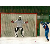 Сетка для ворот хоккея с мячом ПрофСетка нить 3,0 мм 4130-01