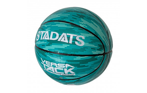 Мяч баскетбольный Sportex E39986 р.7 600_380