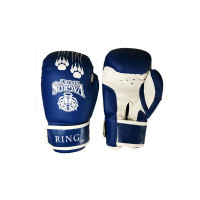 Боксерские перчатки Vagro Sport Ring RS810, 10oz, синий