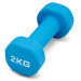 Гантель для аэробики неопреновая 2 кг PRCTZ NEOPRENE DUMBBELL PS7095 75_75