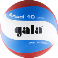 Мяч волейбольный Gala School 10 BV5711S р.5