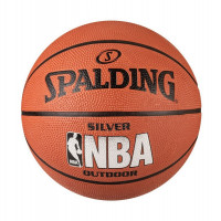 Мяч баскетбольный Spalding NBA SILVER Series Outdoor р.6