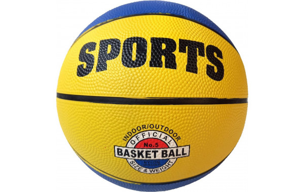 Мяч баскетбольный Sportex B32222-4 р.5 600_380