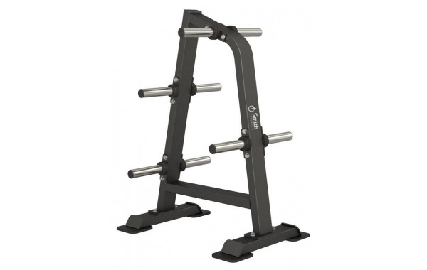 Стойка для дисков Smith Fitness DH-011 600_380