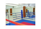 Ринг боксерский на растяжках Atlet 5х5 м, боевая зона 4х4 м, монтажная площадка 8х8 м IMP-A428