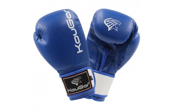 Боксерские перчатки Kougar KO300-6, 6oz, синий 600_380
