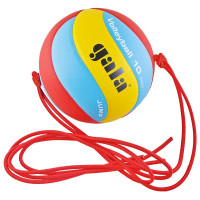 Мяч волейбольный на растяжках Gala Jump №5 BV5481S