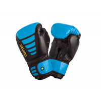 Боксерские перчатки Century Brave 147005P 016 14 oz