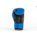 Боксерские перчатки UFC PRO Performance Rush Blue,14oz 75_75
