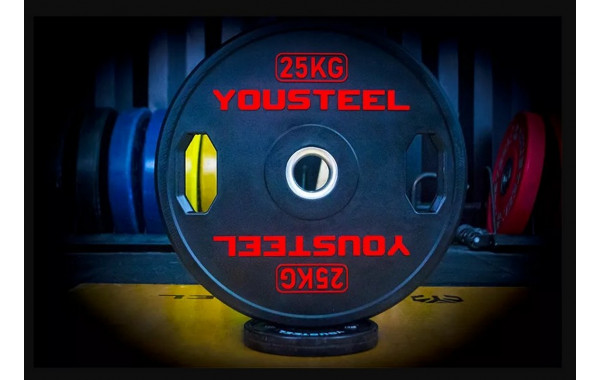 Диск 25 кг YouSteel TWO HANDLES 600_380
