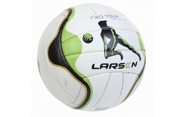 Мяч волейбольный Larsen Pro Tour р.5 600_380