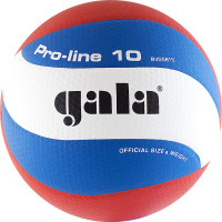 Мяч волейбольный Gala Pro-line 10 BV5581S р.5