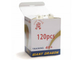 Мячи Giant Dragon Training Silver 1* New белый (120шт, в коробке)