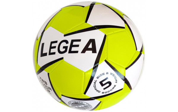 Мяч футбольный Sportex E32149-5 р.5 600_380
