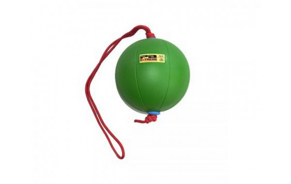 Функциональный мяч 4 кг Perform Better Extreme Converta-Ball 3209-04-4.0 зеленый 600_380