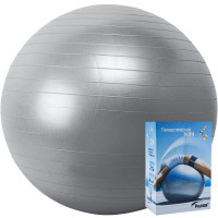 Гимнастический мяч Palmon r324065, 65см, серебристый