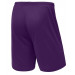 Шорты баскетбольные Jogel Camp Basic, фиолетовый 75_75