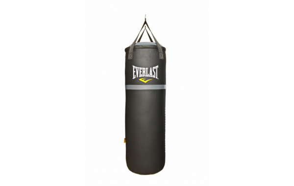 Боксерский мешок Everlast 100 30 кг REV100 600_380