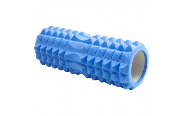 Ролик для йоги Sportex (синий) 33х15см ЭВА\АБС B33112 600_380