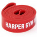 Эспандер для фитнеса Harper Gym замкнутый, нагрузка 20 - 55 кг NT961Z 75_75
