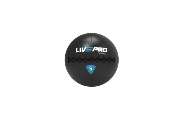 Медбол 6кг Live Pro Wall Ball PRO LP8103-06 600_380