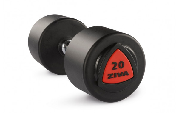 Гантель серии ZVO уретановое покрытие красная вставка 38 кг Ziva ZVO-DBPU-1025 600_380
