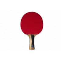 Ракетка для настольного тенниса Gambler ZEBRAWOOD IM8 CARBON MECH-TEK GRC-9  (коническая)