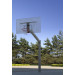 Стойка баскетбольная уличная Schelde Sports Street Slammer, высота 260 или 305 см (определяется при установке) 1627005 75_75