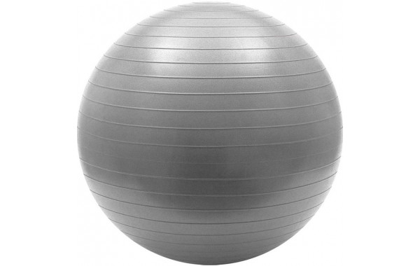 Мяч гимнастический Sportex Anti-Burst 55 см FBA-55-6, серый 600_380