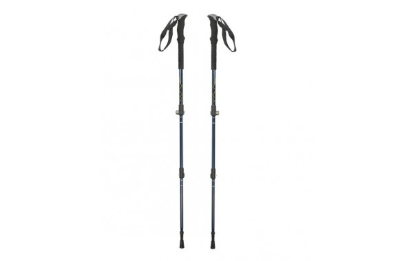 Палки для ходьбы треккинговые раздвижные с удлиненной ручкой 105-135 см Techteam TT HIMALAYAS NN001649 Blue 600_380