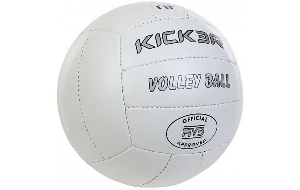 Мяч волейбольный Kicker Tip р.5 600_380