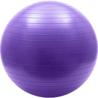 Мяч гимнастический Sportex Anti-Burst 55 см FBA-55-4, фиолетовый