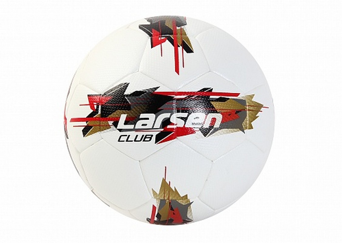 Мяч футбольный Larsen Club р.5 1127_800