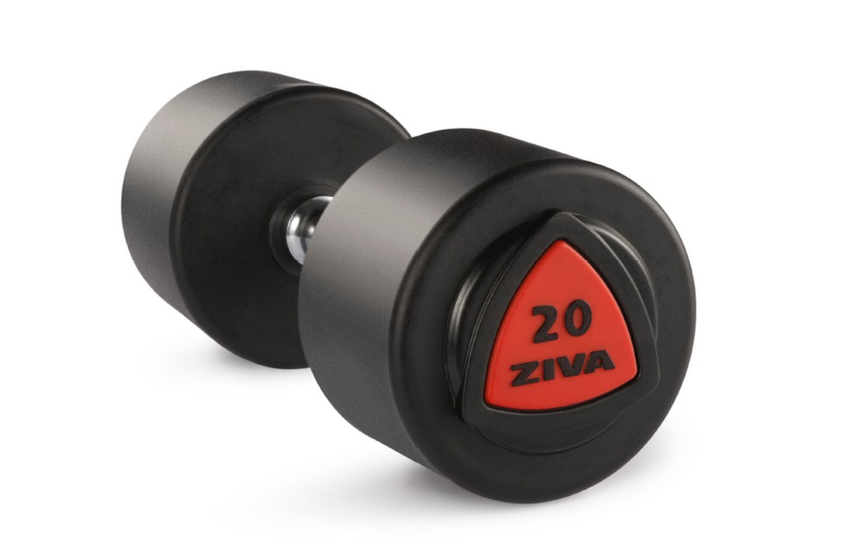Гантель серии ZVO уретановое покрытие красная вставка 34 кг Ziva ZVO-DBPU-1023 1200_789