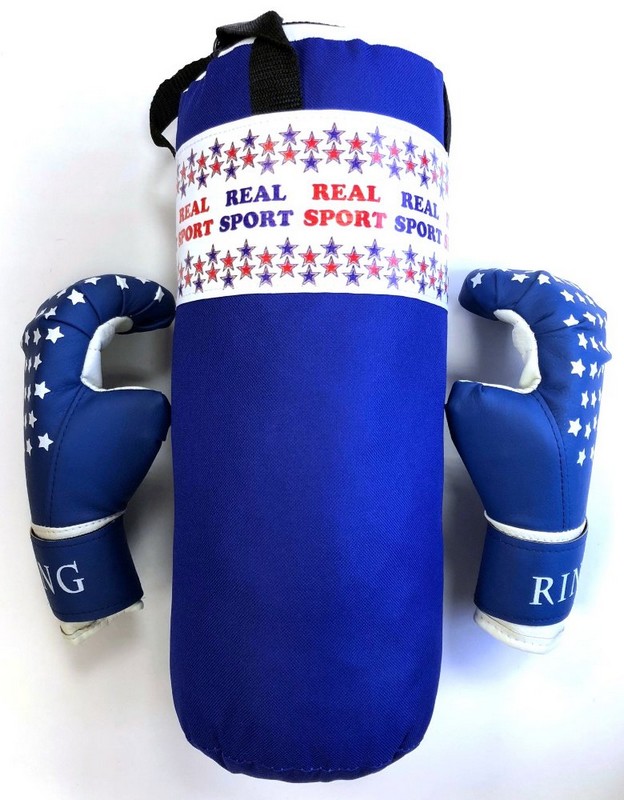 Набор боксерский Real Sport Мини RS250 синий 624_800
