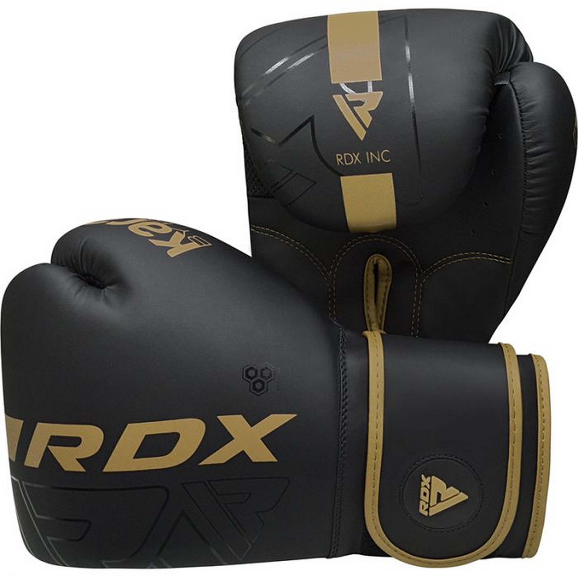 Перчатки тренировочные RDX BGR-F6MGL-16OZ черный\золотой матовый 2000_2000