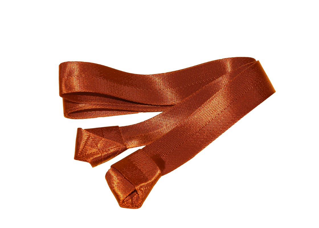 Ремешок для переноски ковриков и валиков Larsen PS 160 x 3,8 см коричневый (полиэстер) 1120_800