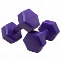 Гантель гексагональная, пластиковая 2 кг BaseFit DB-305 фиолетовый, 2 шт 120_120