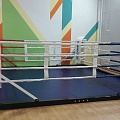 Ринг боксерский напольный Totalbox на балке размер по канатам 5×5 м РНБ 5 120_120