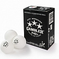 Мячи для настольного тенниса Gambler P40+ BALL - 36 PACK GP40B36 120_120