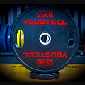 Диск 25 кг YouSteel TWO HANDLES 120_120