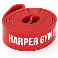 Эспандер для фитнеса Harper Gym замкнутый, нагрузка 20 - 55 кг NT961Z 120_120