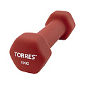 Гантель Torres 1 кг PL55011 120_120