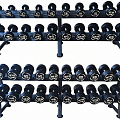 Комплект PVC гантелей V-Sport 2,5-50кг (20пар) со стойками FTX-311.1 120_120